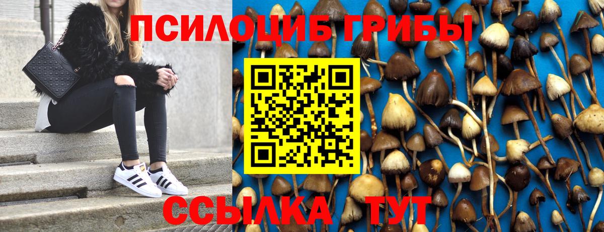 Галлюциногенные грибы Psilocybe  Псилоцибиновые грибы Magic Shrooms  Омск  Вход с VPN 